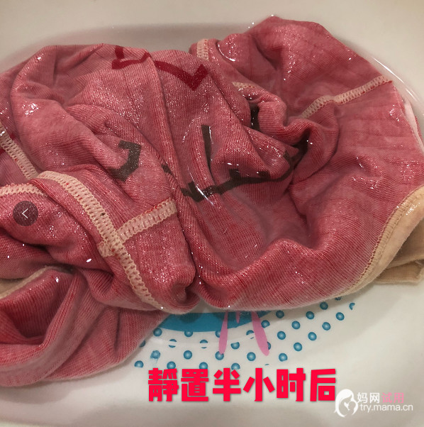 邪恶动态肘膝最新一期，自然美景轻松之旅