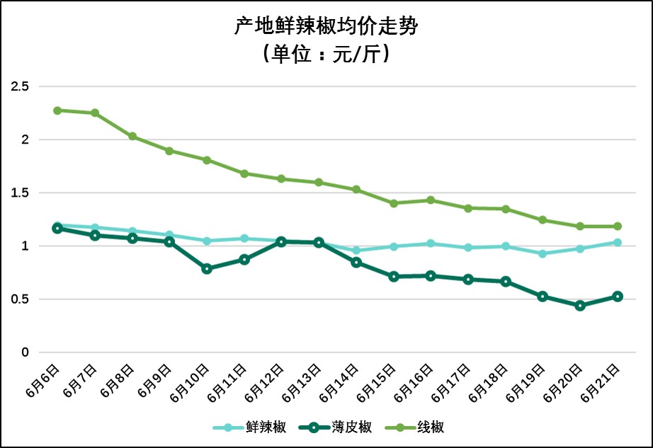 线椒批发价格实时更新与最新行情分析