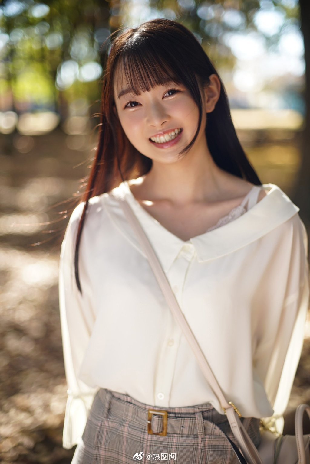 望月智充最新论述分析摘要